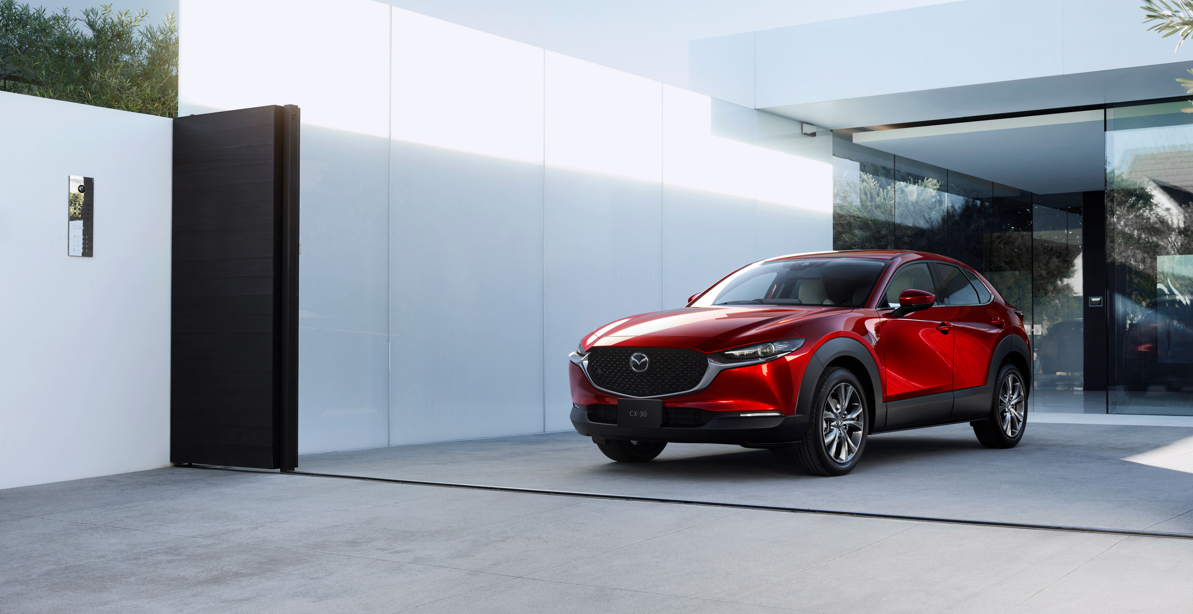 2019 CX 30 (1)